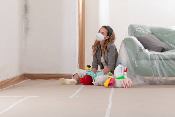 Reliable Commercial Mold Remediation contractor in Clarksville, TN by WQB Mold Removal